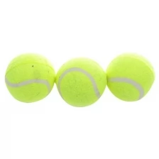 Теннисные мячи Shantou 3 штуки (Т6759)
