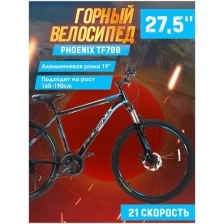 Велосипед горный Phoenix TF700, колеса 27,5., скор.21, рама алюминиевая 19 дюймов