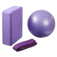 Sangh Набор для йоги (блок+ремень+мяч), цвет фиолетовый