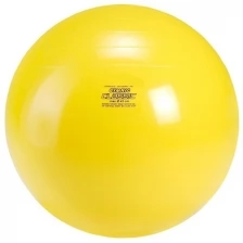 Мяч Gymnic 95.45 (45 см)