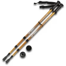 Палки для скандинавской ходьбы телескопические INDIGO 3 секции пластиковые ручки SL-1-3 Синий 65-135 см