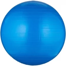 Мяч гимнастический INDIGO IN001 Голубой 55 см