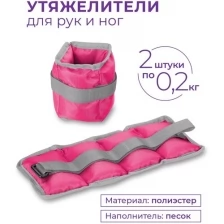 Утяжелители классика SM-148 Фиолетовый 2*0,2 кг