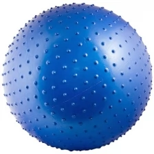 Мяч массажный TORRES AL121265 65 см, с насосом, синий