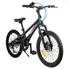 Велосипед 2-х колесный Детский Maxiscoo "Supreme" (2021), 6 Скоростей, 20", Черный Аметист (MSC-SU2003-6)