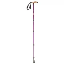 Палка-трость для скандинавской ходьбы, телескопическая, 4 секции, алюминий, до 135 см, (1 шт), цвет сиреневый