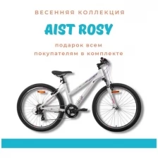AIST Rosy 1.0 26 2022