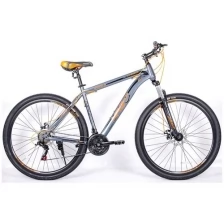 NRG BIKES Grizzly 29