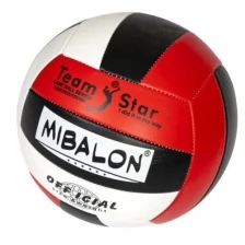 Мяч волейбольный Shantou PVC, 225 г, 1 слой, размер 5, Mibalon (155708)