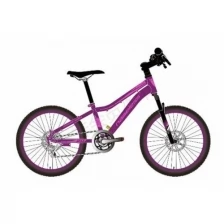 Велосипед 20" NAMELESS J2200DW фиолетовый