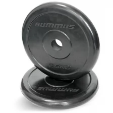 Диски для грифа обрезиненные Summus 2 шт по 2,5 кг, d=26мм, арт.500-143