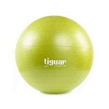 Мяч гимнастический Tiguar, 55 см