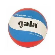 Мяч волейбольный профессиональный GALA Pro-Line 10 FIVB Approved BV5591S, размер 5, 10-панельный мяч с рельефным нанесением Dimple, для международных соревнований