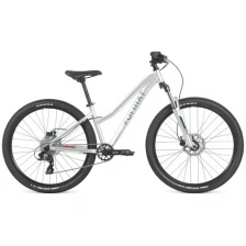 Велосипед FORMAT 6422 26 (26" 8 ск.) 2022, серебро, RBK22FM26493