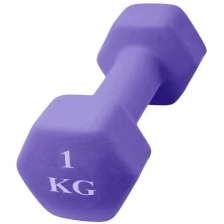 Шестиугольная гантель 1 кг, фиолетовая