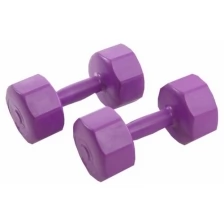 Гантели виниловые ProRun 3 кг х 2 шт, фиолетовый, 100-4812