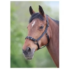 Недоуздок для лошадей SHIRES "PRO" регулируемый, COB, чёрный (Великобритания)