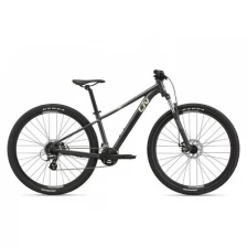 Велосипед горный Liv Tempt 29 4, M, Black Chrome