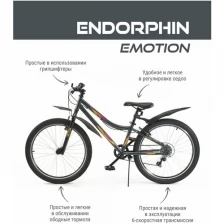 Велосипед подростковый горный с колесами 24" Endorphin Emotion, рама 12" темно-серый/розовый