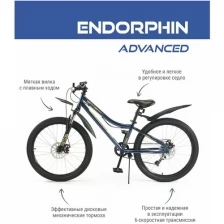 Велосипед подростковый горный с колесами 24" Endorphin Advance D рама 12" темно-синий/золотистый