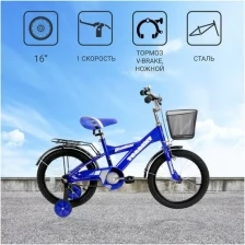 Детский велосипед TORRENT Meridian (1 скорость, добавочные колеса, рама сталь, колеса 16", корзина)