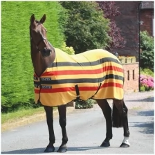 Попона флисовая для лошади SHIRES TEMPEST "Original Newmarket" в полоску, 150, жёлтый/чёрный/красный (Великобритания)