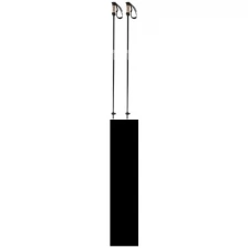 Горнолыжные палки Salomon SC 1 Black (115)