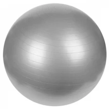 Фитбол диаметр 75 см. Серый