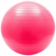 FBA-65-6 Мяч гимнастический Anti-Burst 65 см (серый)