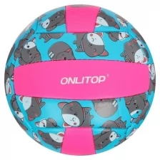 ONLITOP Мяч волейбольный ONLITOP "Кошечка", размер 2, 150 г, 2 подслоя, 18 панелей, PVC, бутиловая камера