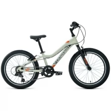 Подростковый горный (MTB) велосипед FORWARD Twister 20 1.0 (2022) 10 AND quot (RBK22FW20042) (серый/оранжевый)