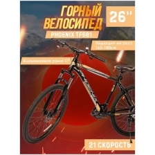 Велосипед горный Phoenix TF601, алюминиевая рама 17", диаметр колес 26", 21 скорость, черно-золотой